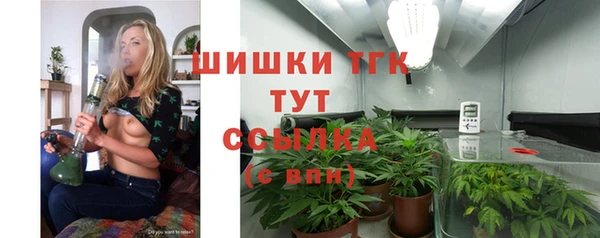 apvp Армянск