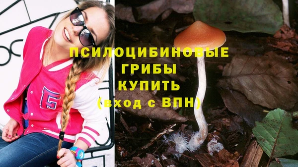 СК Арсеньев